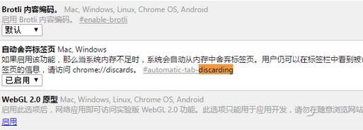 谷歌浏览器的五种优化方法,谷歌浏览器优化技巧,一键重装系统