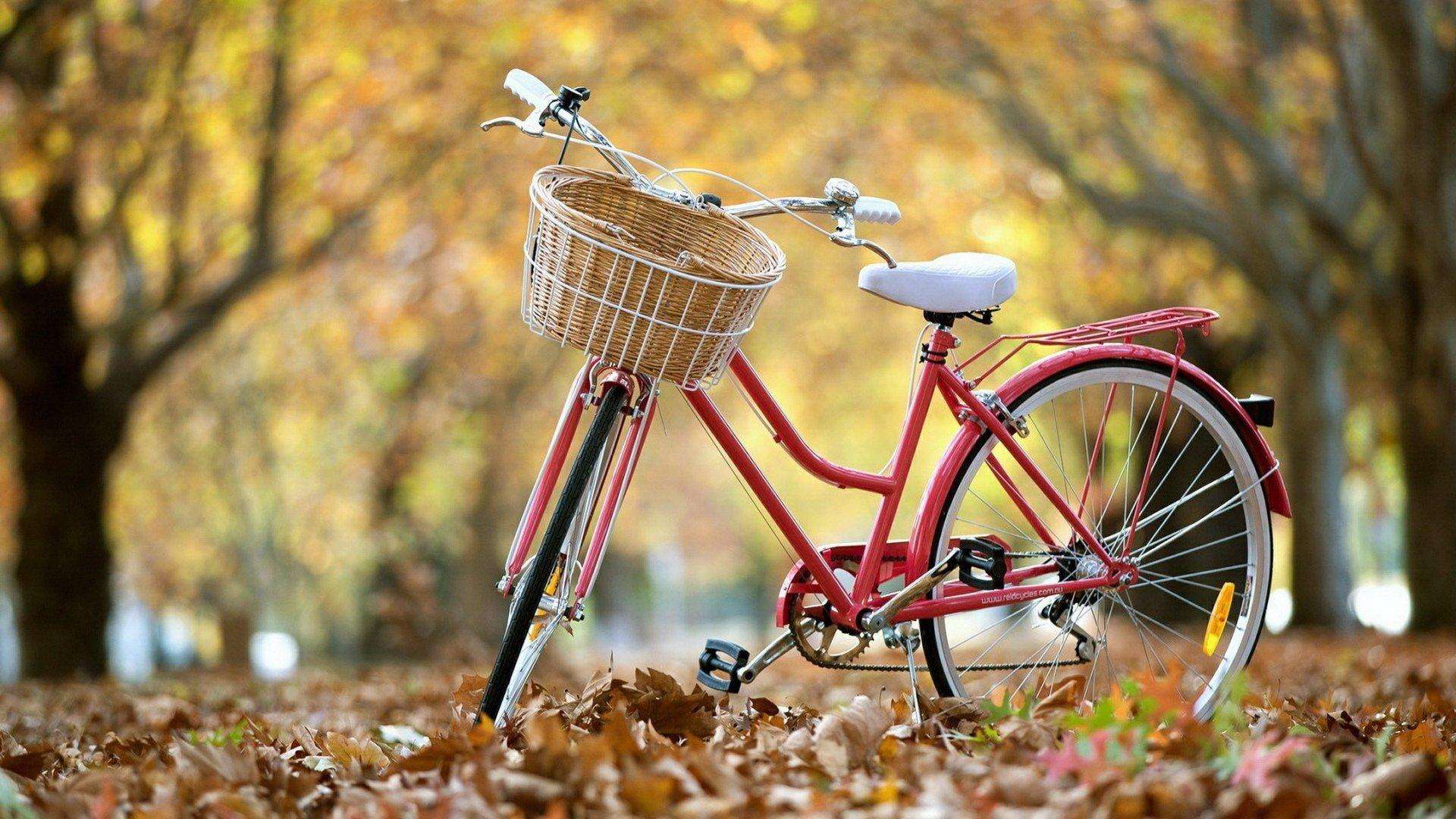 1493349339133536.jpg Ghost win7桌面壁纸