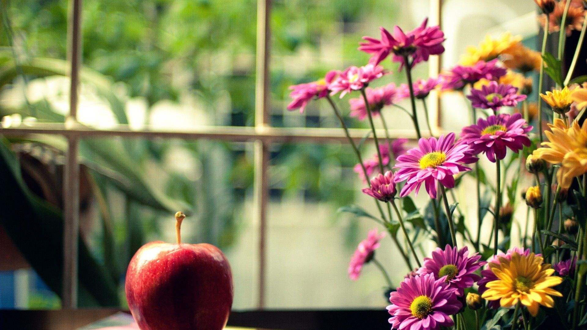 1493349339139466.jpg Ghost win7桌面壁纸