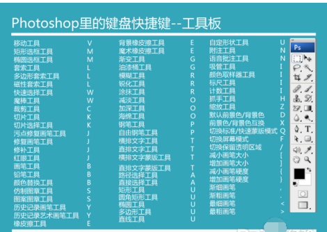 ps快捷键大全,小鱼教您ps快捷键有哪些
