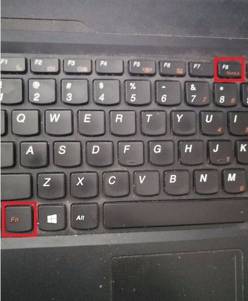 笔记本电脑小键盘 小鱼教您笔记本键盘失灵了 Win8教程 小鱼一键重装系统官网