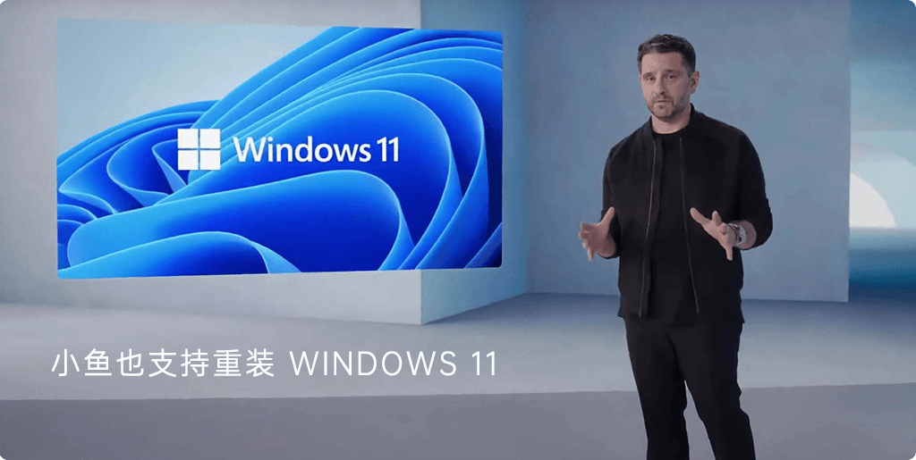 小鱼也支持重装系统windows11